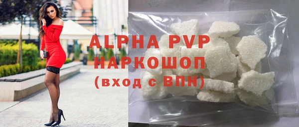 шишки Абаза