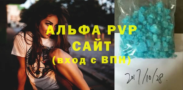 шишки Абаза