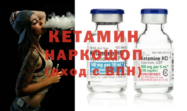 шишки Абаза