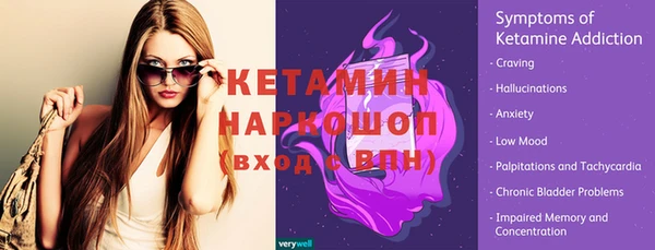 шишки Абаза
