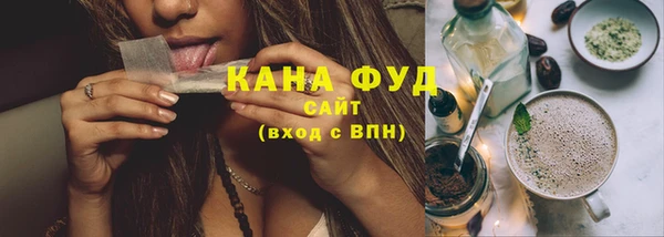 шишки Абаза