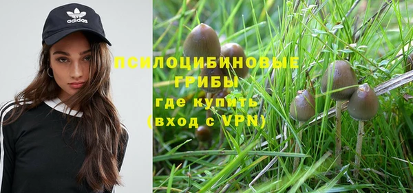 спиды Абдулино