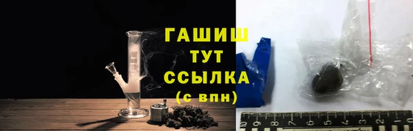 шишки Абаза