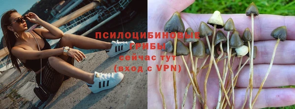 мяу мяу мука Абинск