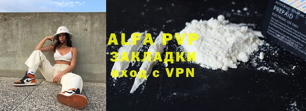шишки Абаза