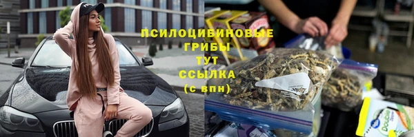 мяу мяу мука Абинск