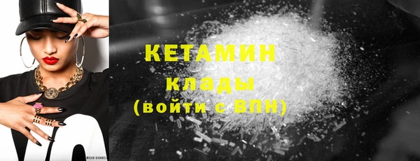 шишки Абаза