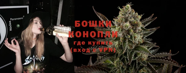 шишки Абаза