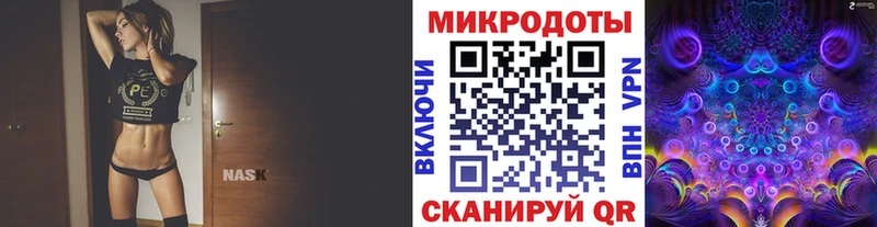 Галлюциногенные грибы Psilocybine cubensis  закладка  Сорск 